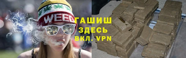 стафф Касимов