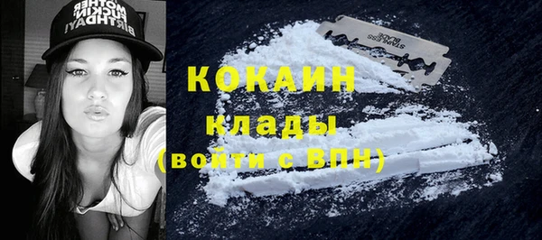 стафф Касимов
