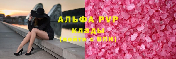стафф Касимов