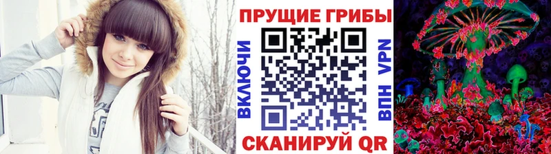 Купить где  Верхняя Тура  Галлюциногенные грибы прущие грибы 